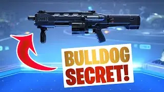 THE BULLDOG SECRET YOU MAY NOT KNOW