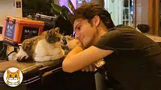 Мой муж и кот, которого он не хотел 🤣