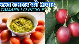 Tasty Rukh Tamatar Ko Achar / How To Make Tamarillo Pickle/How To Make Matar ko Achar/Tamatar Pickle