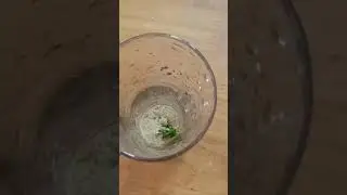 A variety cocktail with Indian twist #cocktail #simpledrinks #mallufood #easycooking #kerala