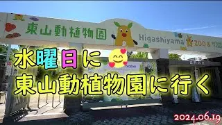 水曜日に東山動植物園に行く（全チャプター付き）