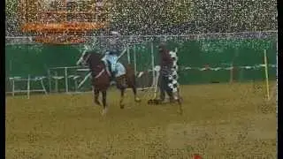 Norfolk Showground 2014 Horseboarding