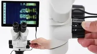 BLM4-326 LCD Digital Zoom Stereo Microscope