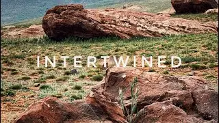 Intertwined - Alifer (music video)