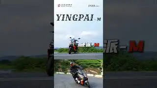 🚀 Game-Changer! LVJIA Electric Scooter: Far Range & Super Fast for Urban Rides 🛴 #china