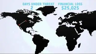 HP CyberCrime Motion Graphics Infographic