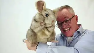 Folkmanis&reg; Gray Mouse puppet demo