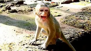 Alba Cries Tingling Body Angry Mum Steal Her Food From Papa | Alba Cries Out  Loudly