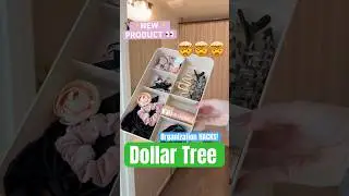 ✨NEW✨Dollar Tree Organizer you NEED to see! (So many uses!)🤯 #dollartree #organization #home #hacks