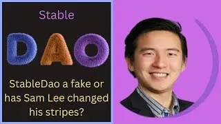 Is Stable DAO a Fake ...