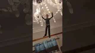 Stunning and Brave