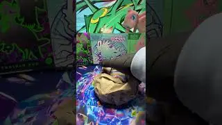 Episode 102 🎥 - Pok&eacute;mon Pack Opening - Slabs Grade Reveal@acegrading  #pokemon #pikachu #charizard