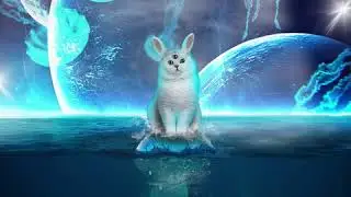 ARONSO - Among stars