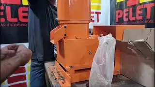 Transforme coco baba&ccedil;u em lucro