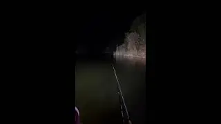 Exploring New Fishing Spots Live｜未知の釣り場を探るライブ｜探索未知的渔场｜ 2026-01-17 22:51:13