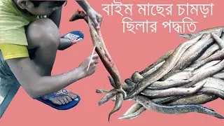 Amazing Big Baim Fish Cutting | Eil Fish | বাইম মাছ কাটার পদ্ধতি । Fastest Worker