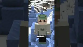 The RAREST Biome in Minecraft