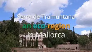 Serra de Tramuntana, an eco-region in Mallorca.