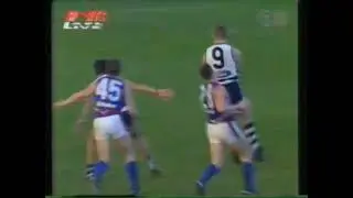2nd Half Geelong VS Bulldogs 1996 Paul Couch