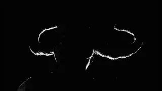 BLACK SHEEP - THE BUFFALO WOMAN
