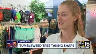 Tumbleweed Tree taking shape in Chandler