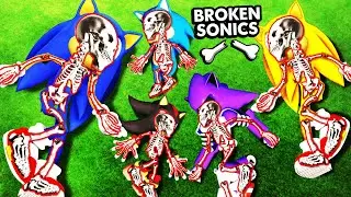 Breaking EVERY BONE As EVERY SONIC (GTA 5)