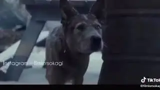 Film - Fractured (2019)