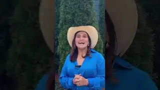 Tax ID es la llave
