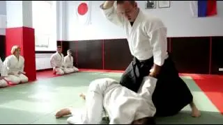 Дайто Рю Айкидзюдзюцу