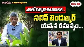 Curcumin | Free Classes 460 | B. Anjaneya Raju #sreesannidhitv