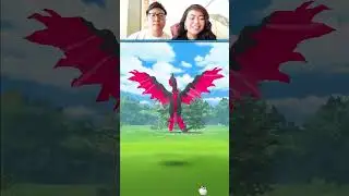 Using The Catch Trick on Galarian Moltres, But&hellip; - Pokemon GO, #shorts #pokemongo