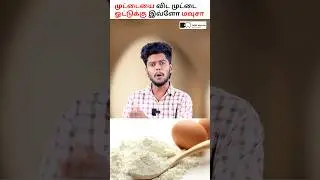 Waste Egg Shell to Profitable Business! 🥚💰 #eggshellbusiness