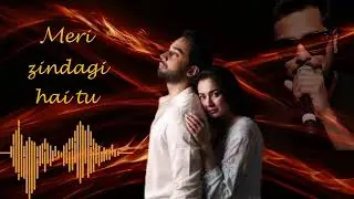 Meri Zindagi hai tu! OST song!Asim azher//Sabri sisters 