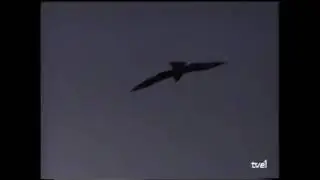 Gandalf - Dreamscapes, Part 2 (From Source To Sea, 1987) (Official video?)