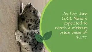 Nano Price Prediction 2023  XNO Crypto Forecast up to $1 05
