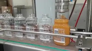 Piston Filler Model 305 | Type A Nozzle | Bottled Honey