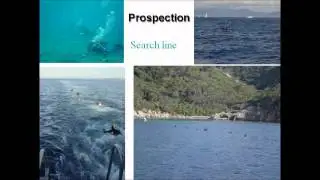 Alain Barcelo - Invasive algae control program in the National Park of Port-Cros