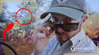 A bumble with a surprise ending!