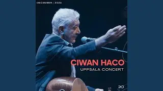 Hey Dilber&ecirc;
