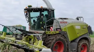 Mais ins Hochsilo mit Lohnunternehmer Leu