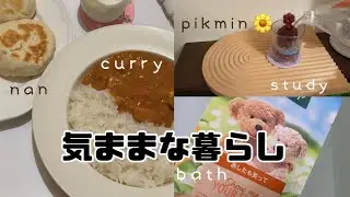 お家カフェ🍛手作りナン🧊ピクミンドリンク🌼気ままにお風呂🛁のんびり休日Blog