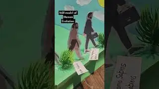 human Evolution #subscribeformorevideos #science #knowledge