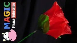 CLASSIC MAGIC: HOW DO YOU TURN FIRE INTO FLOWERS