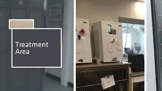 Mohnacky Animal Hospital of Carlsbad 1080p