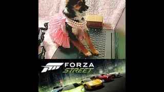 Exhilerating Tips Forza Street Review. Guest and Kitty Big Dog