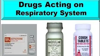 pharmacology of respiratory system