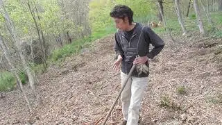 Pulire dai rovi