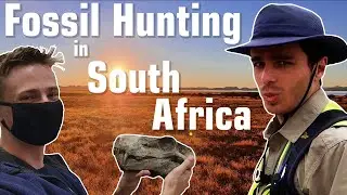 We Went to South Africa to Hunt For Fossils - Here’s What Happened to Us