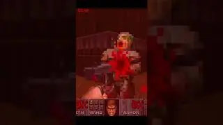 This is what happens with a legally blind Doom Guy!