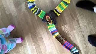FlexiTrack fun!